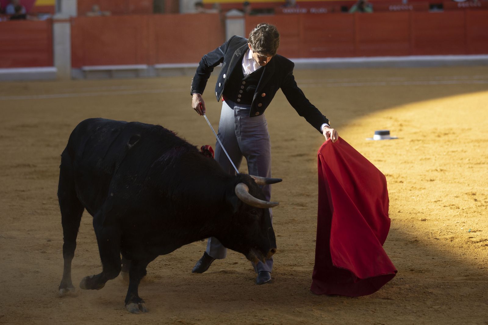 Las mejores imágenes del Festival Taurino en beneficio de Granadadown