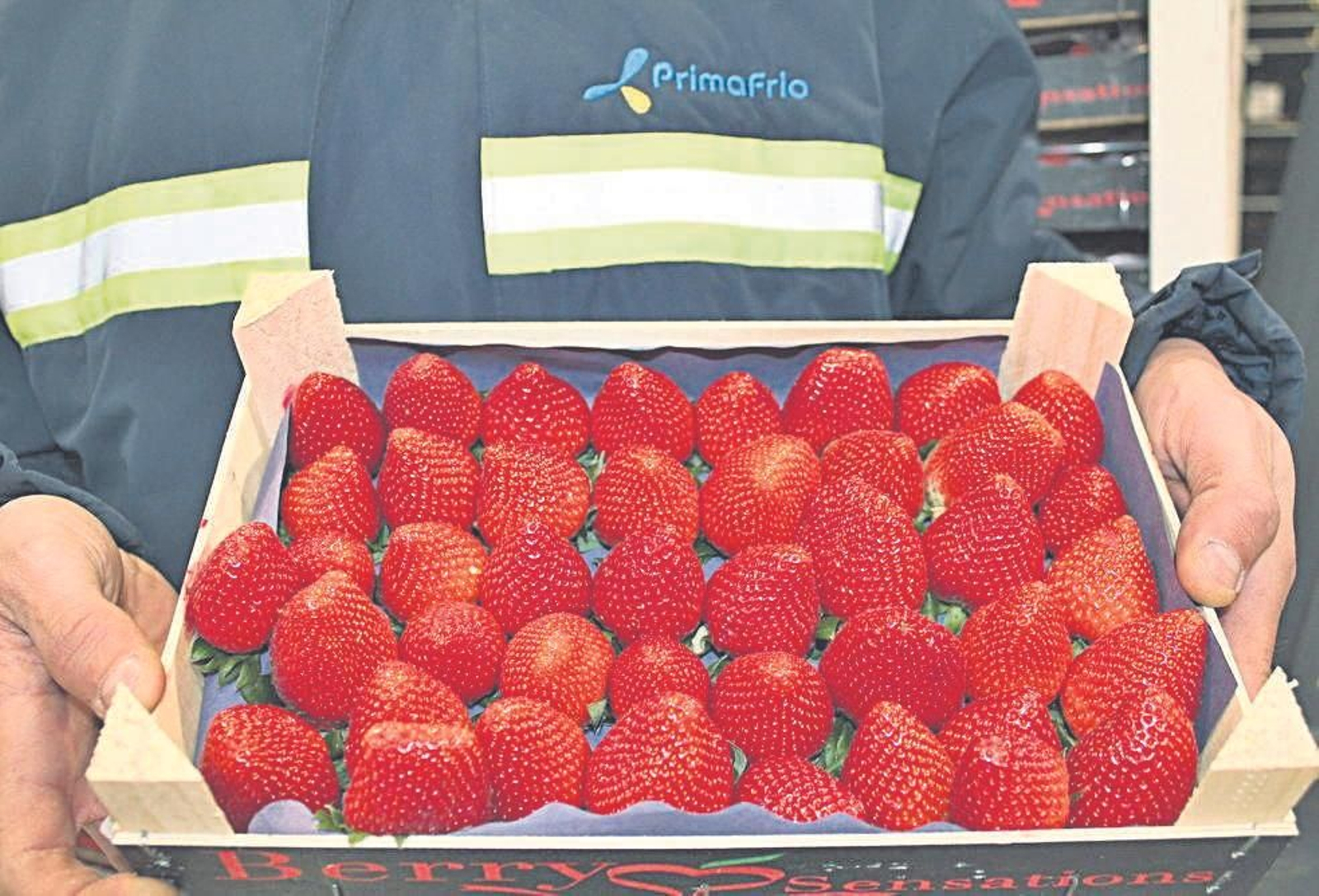 Alimentos de calidad.