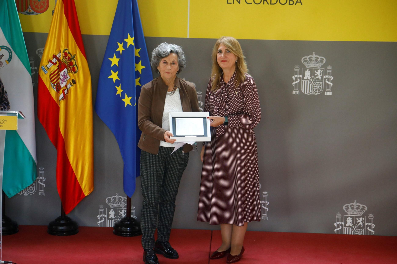 La entrega de los premios Plaza de la Constitución 2025