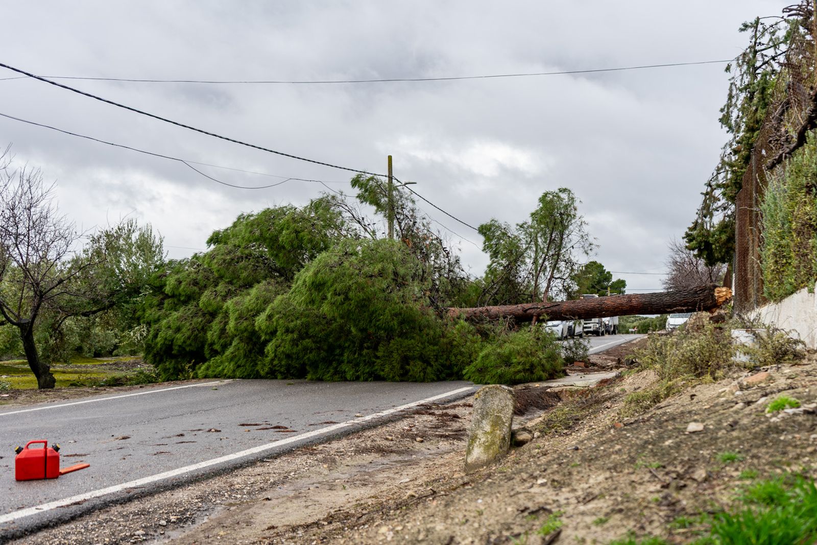 Así queda Monte Lope Álvarez después de la tromba de agua caída