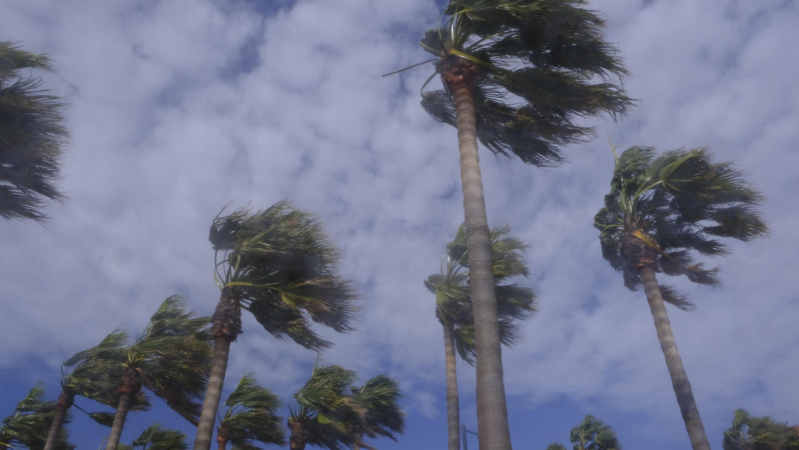 Imágenes del temporal de viento en Almería