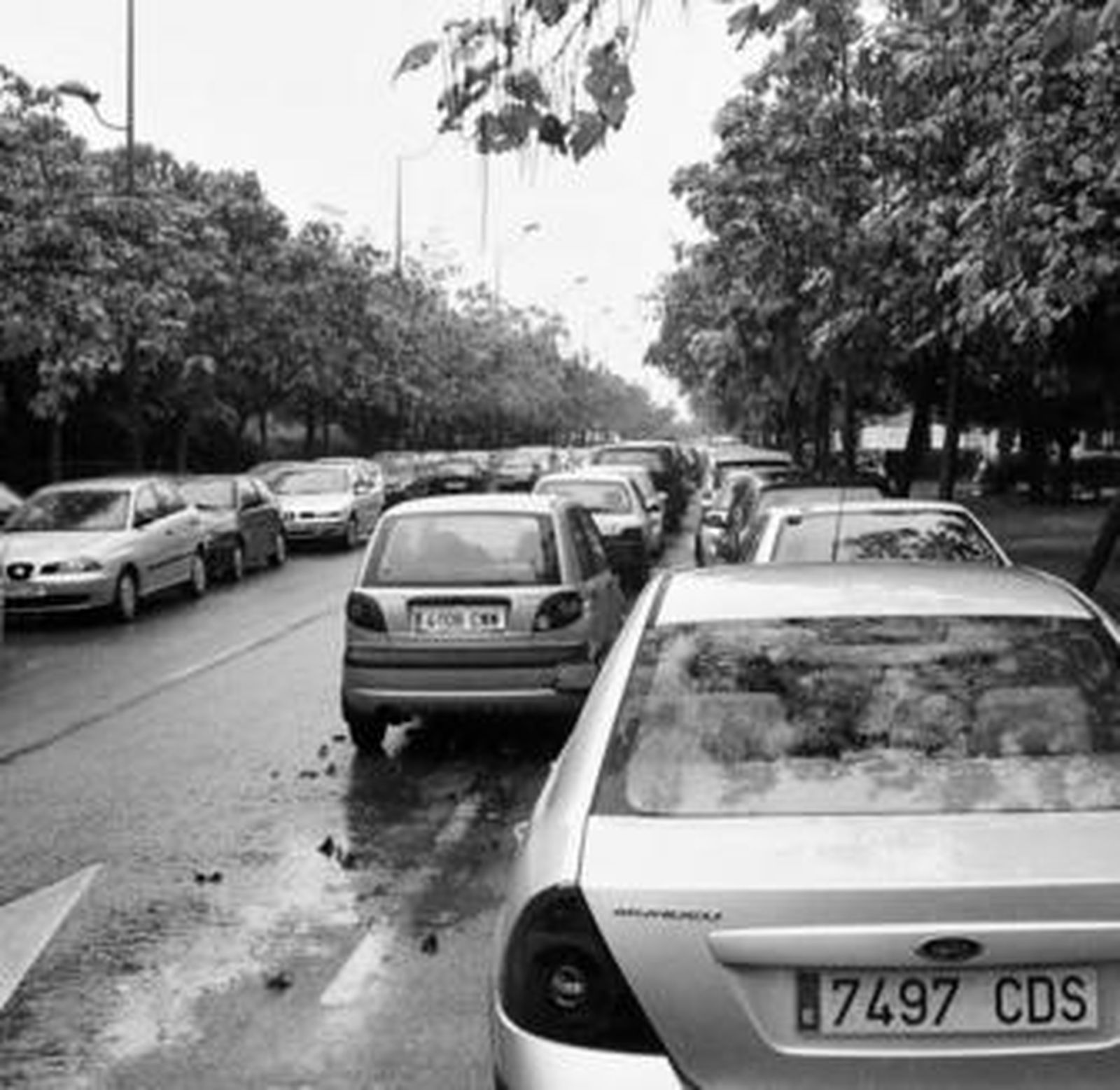 Coches aparcados en doble fila en una calle de la isla de la Cartuja.