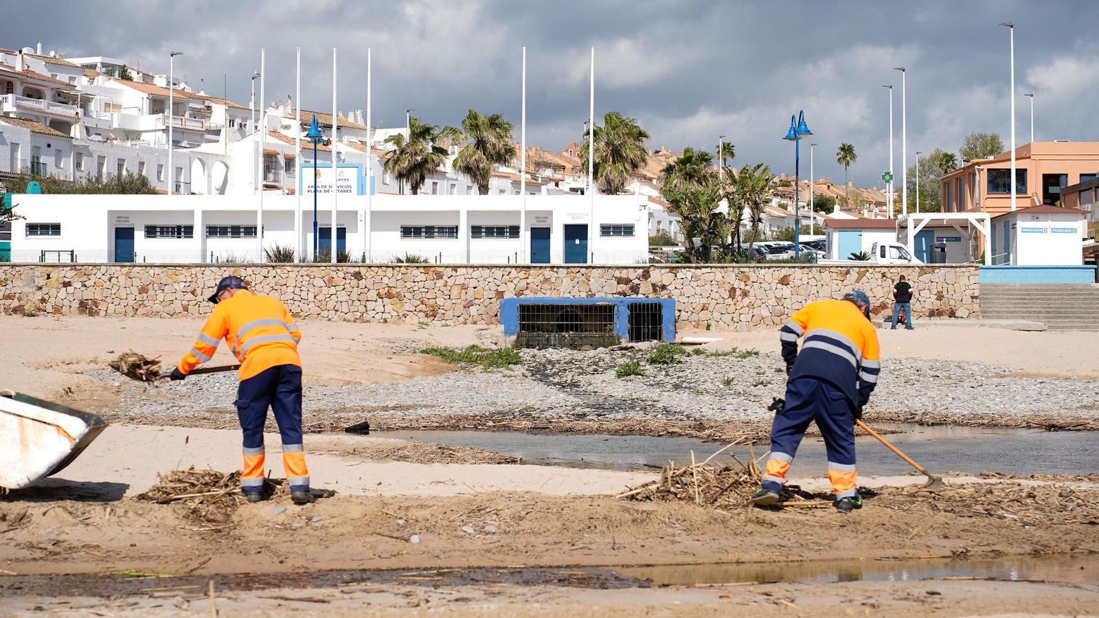 Fotos de la playa de Getares llena de cañas y desechos