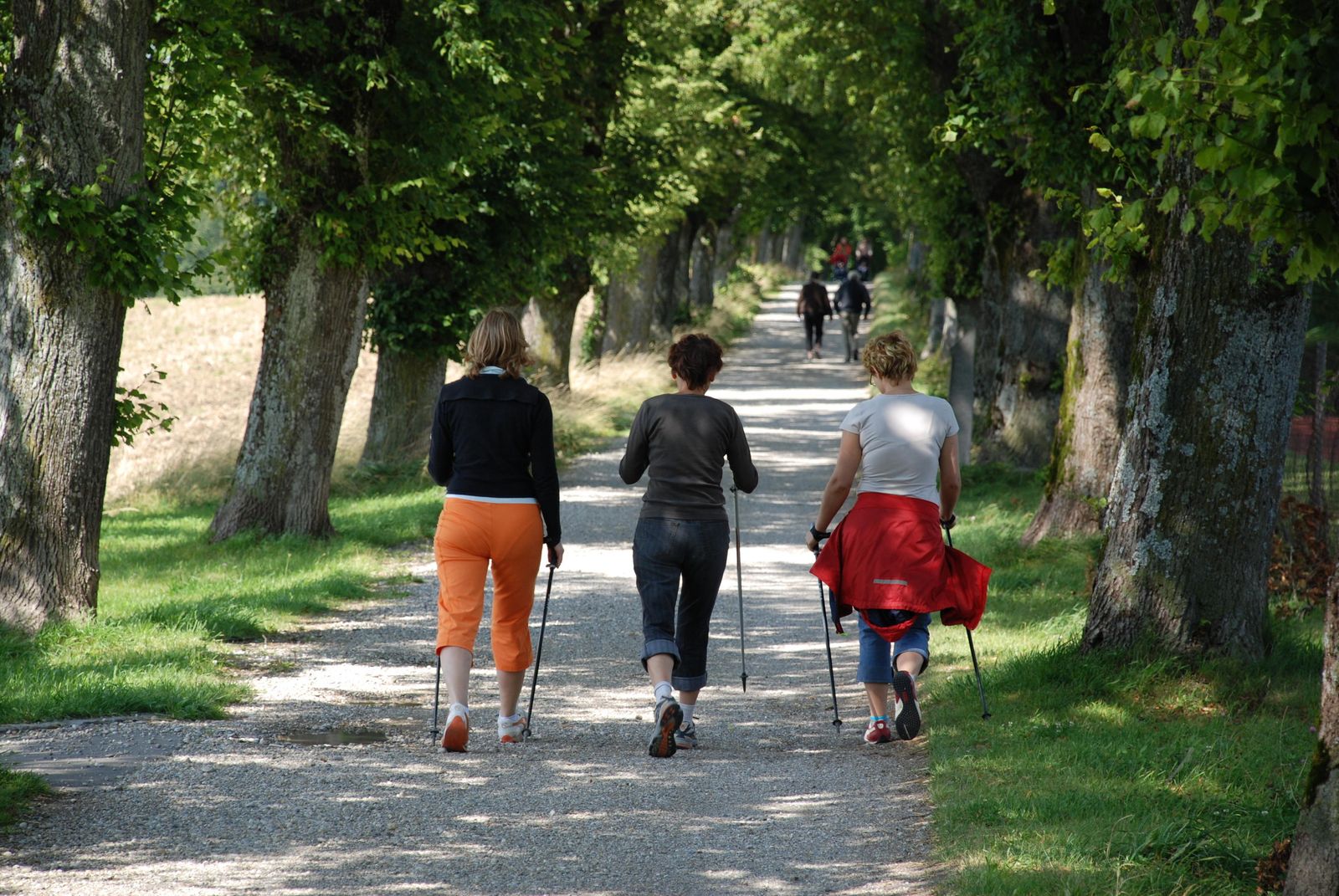 La demanda se duplica Turismo rural