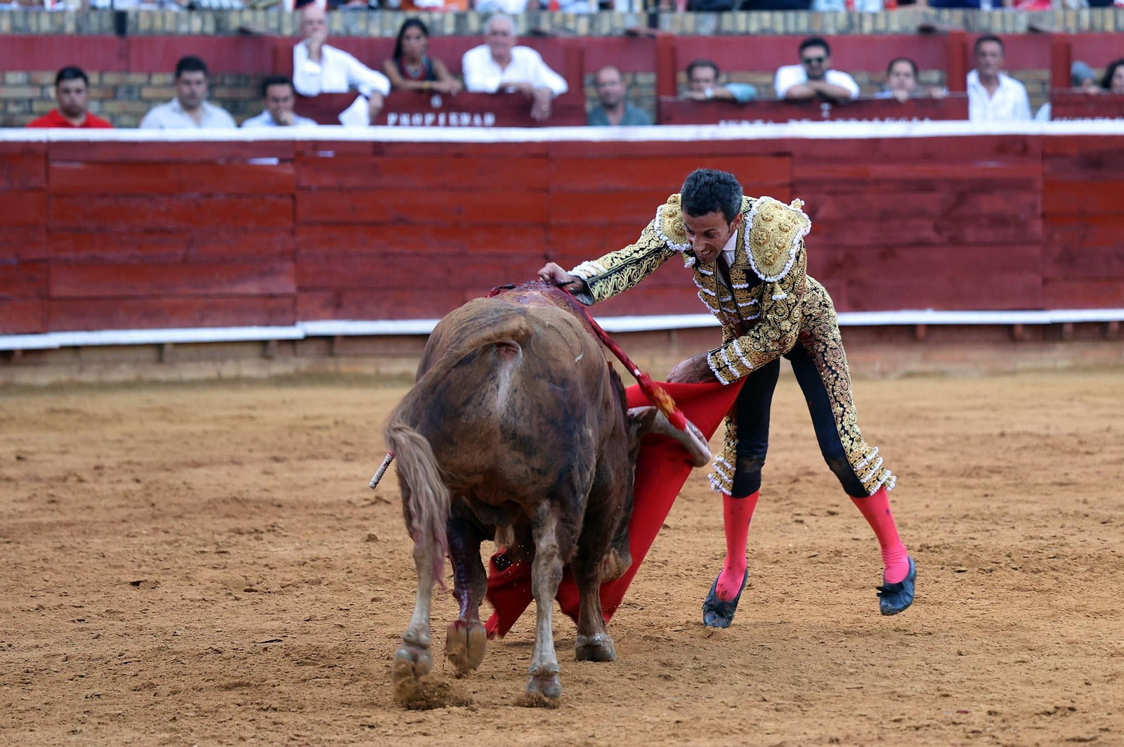 Toros La Merced 2025: Imágenes de la corrida de David de Miranda, Marco Pérez y Borja Jiménez