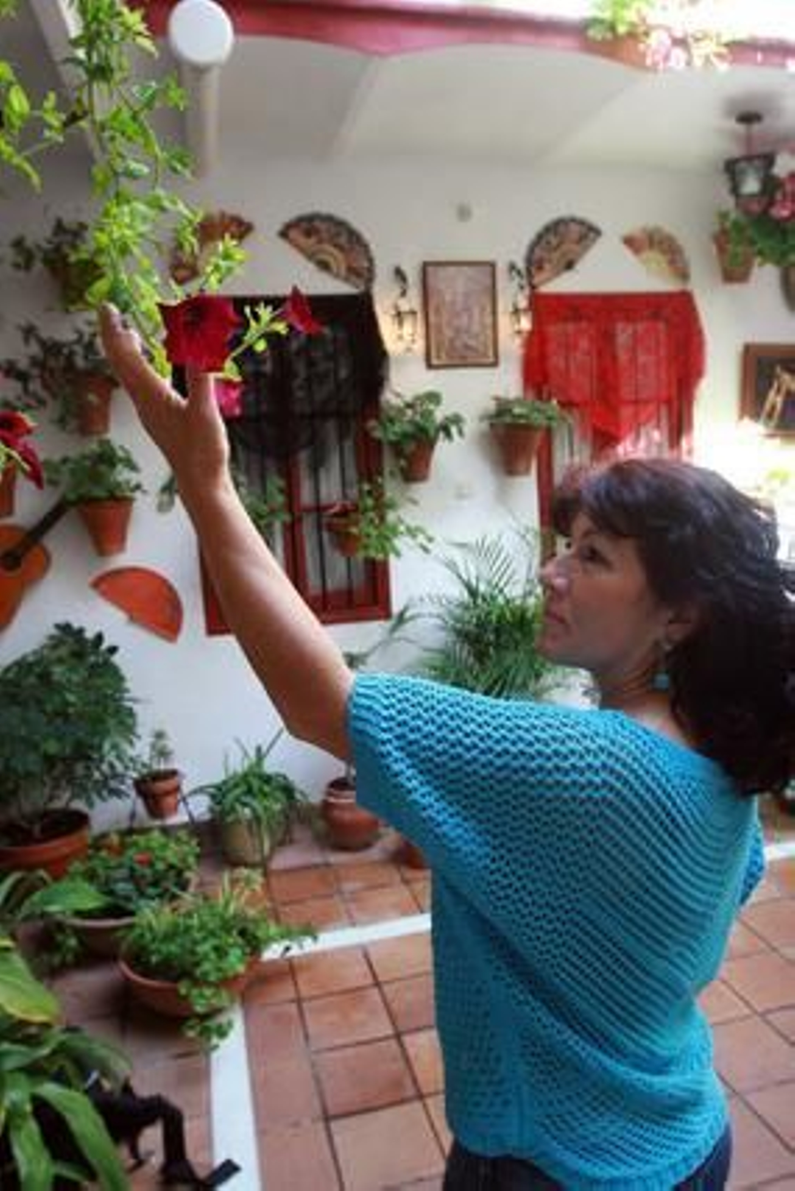 Foto: O. Barrionuevo