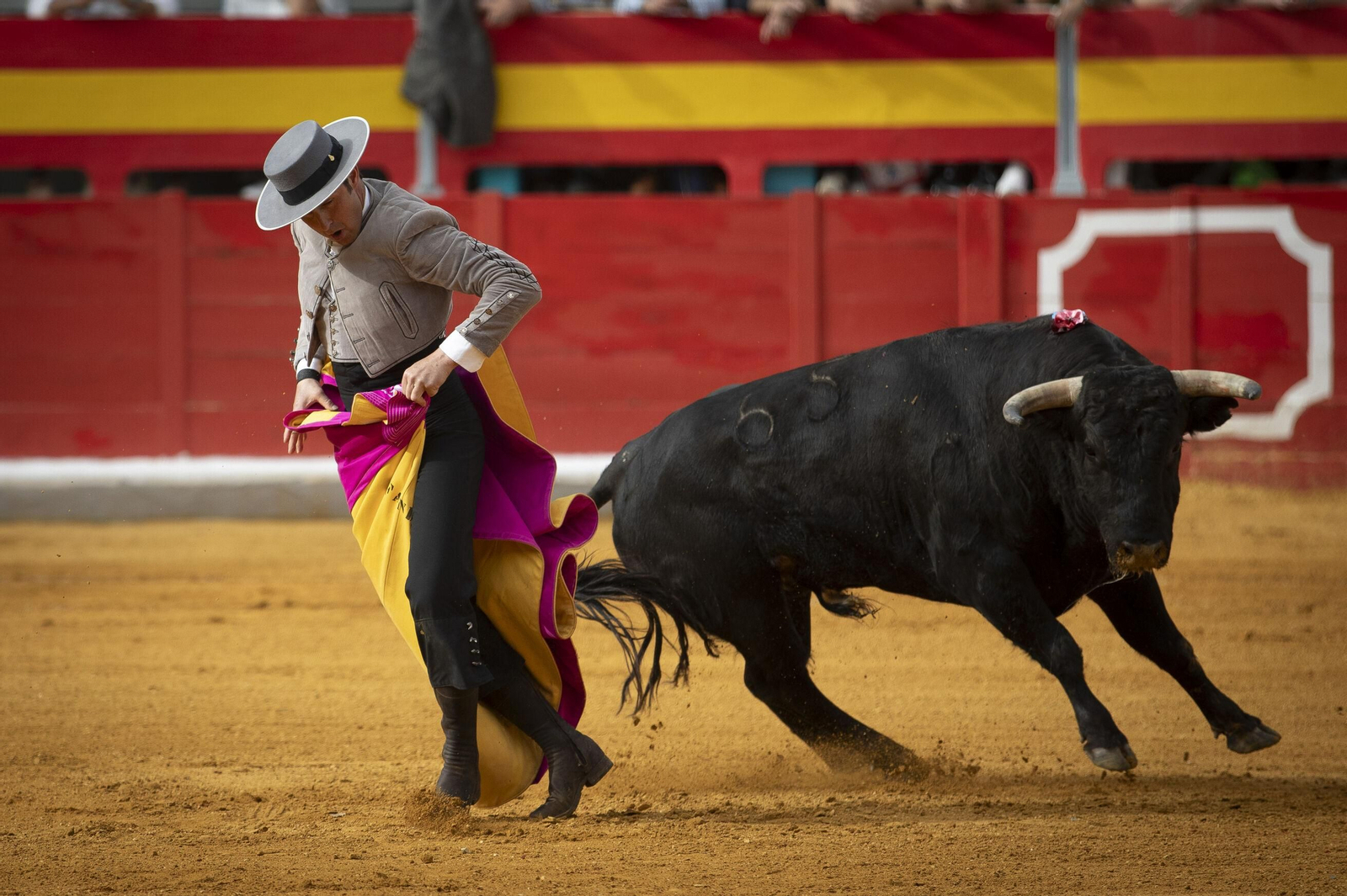 El Festival Taurino a beneficio de Granadown, en imágenes