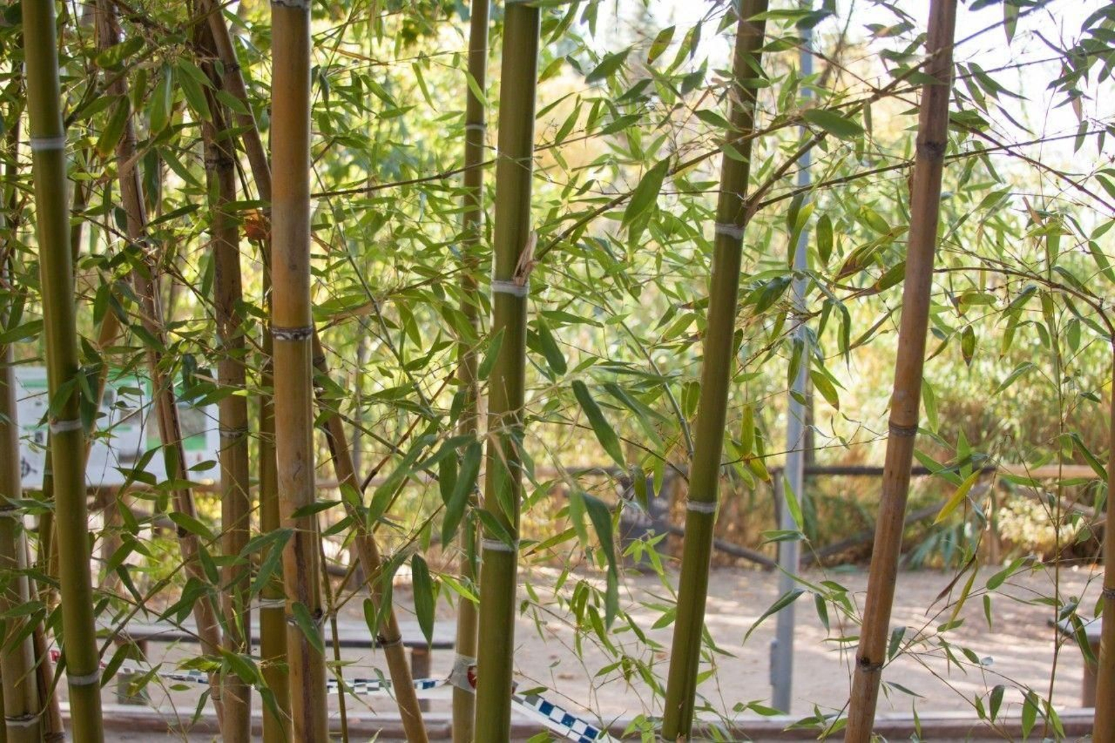 El río Aguascebas llena de agua y vida este oasis veraniego en Mogón. El río Aguascebas llena de agua y vida este oasis veraniego en Mogón.