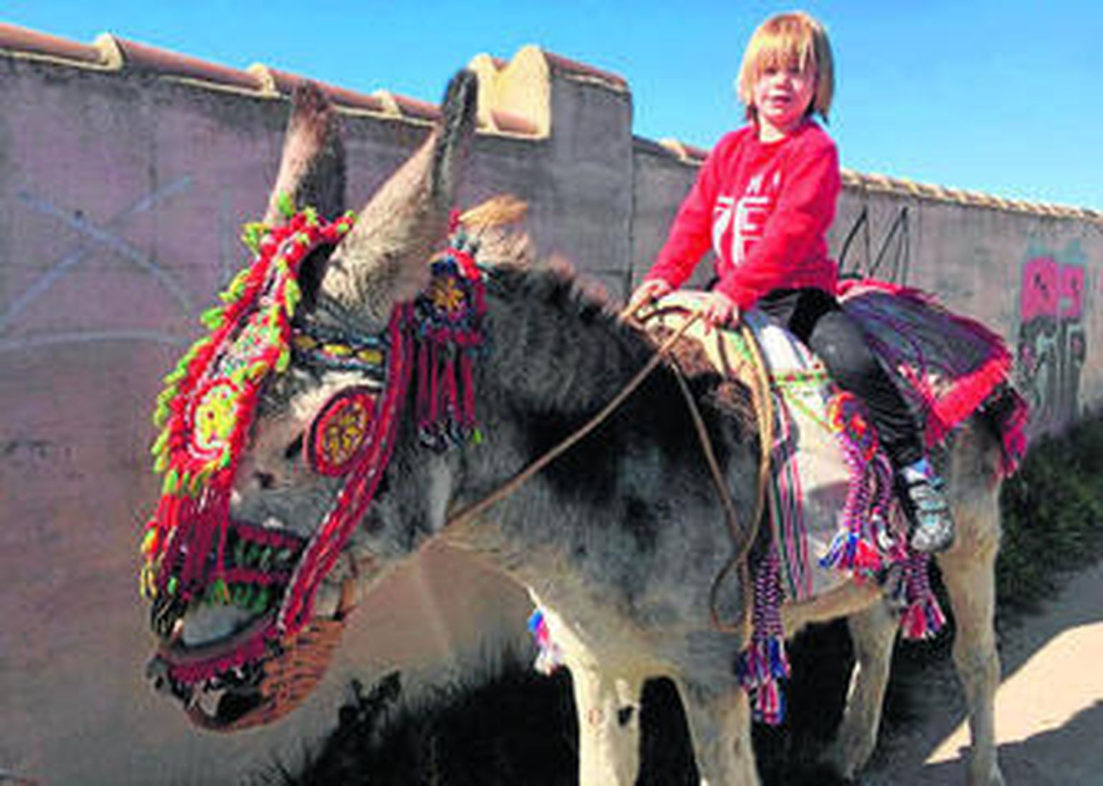 Esta es la foto del burro Platero ataviado con sus adornos al estilo antiguo, que lucirá en la Feria si se lo permiten.