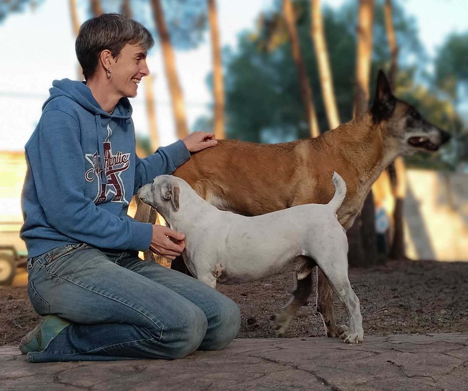 La educación canina en cachorros: Él marca las reglas