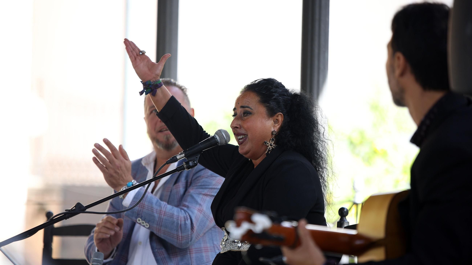 Imágenes del Día del Flamenco 2024 en Jerez