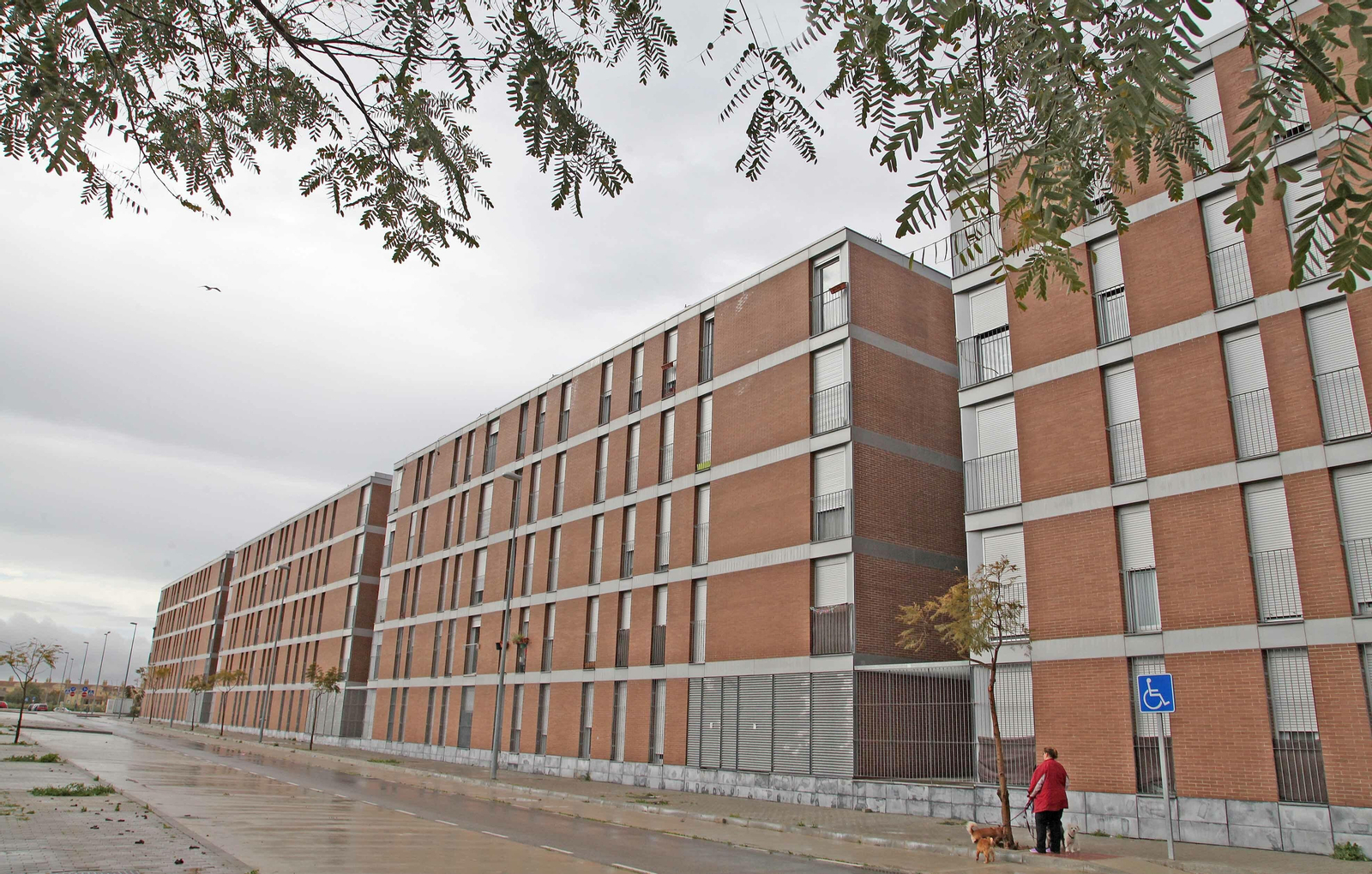 Imagen de los bloques de residencial Calipso.