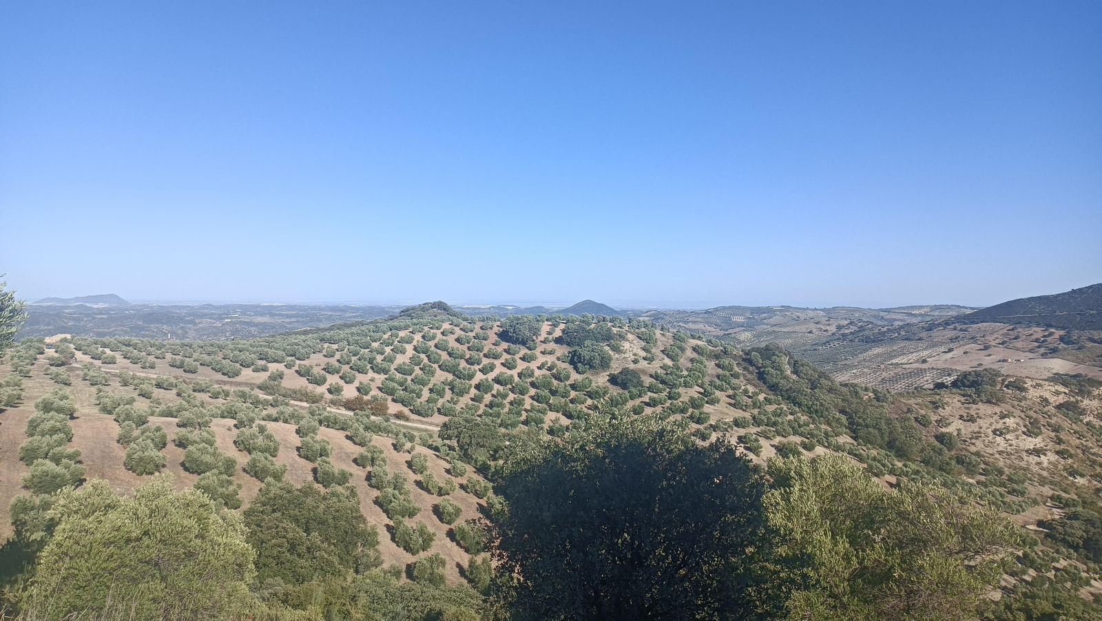 Fotos del ascenso al Pico del Terril