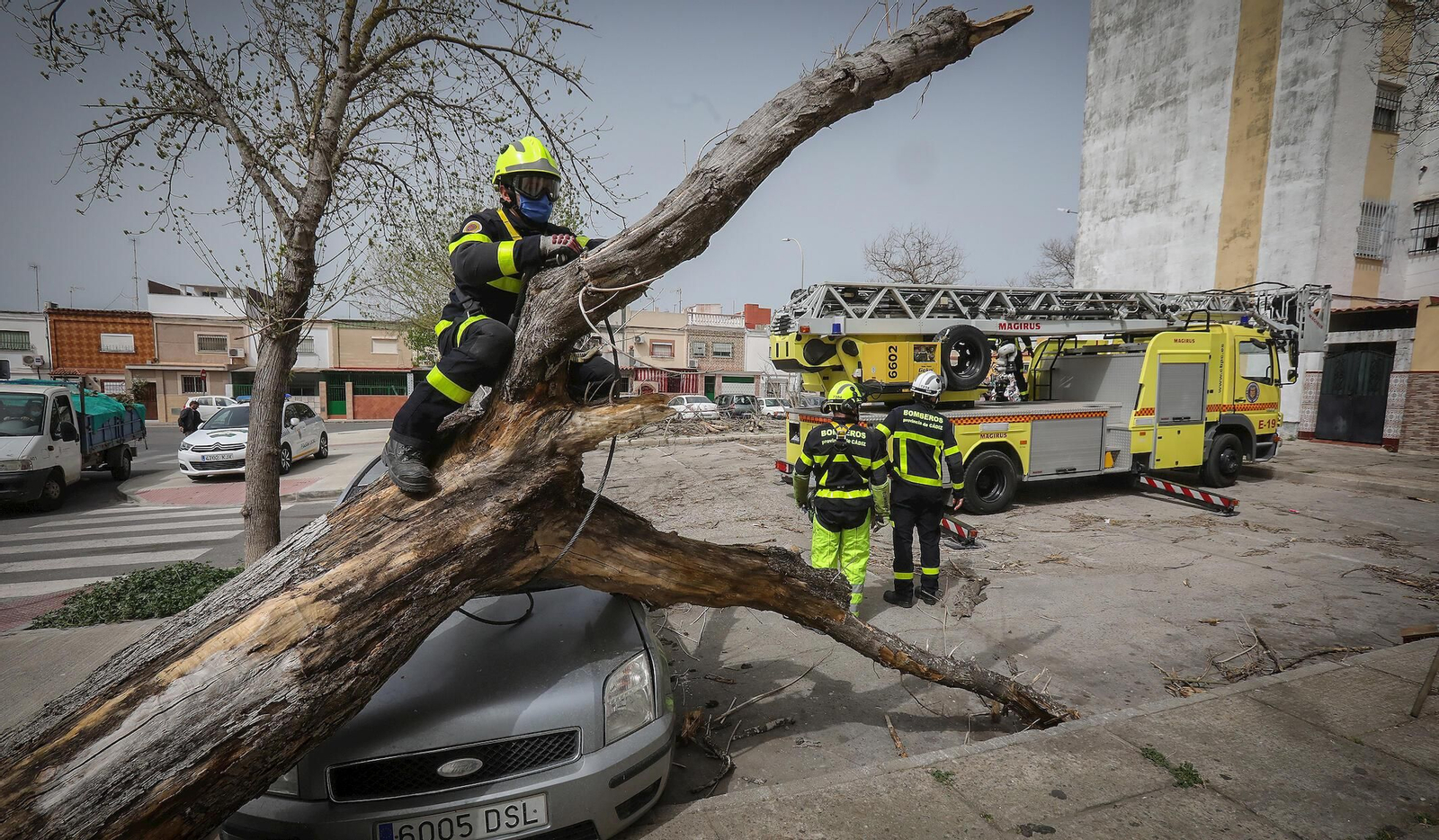 Imágenes de los destrozos ocasionados por el fuerte temporal