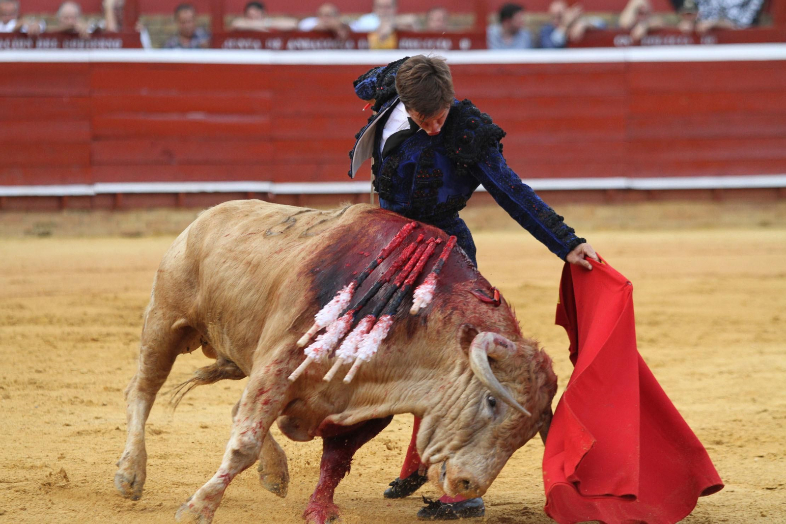 Imágenes de la corrida del Juli en La Merced