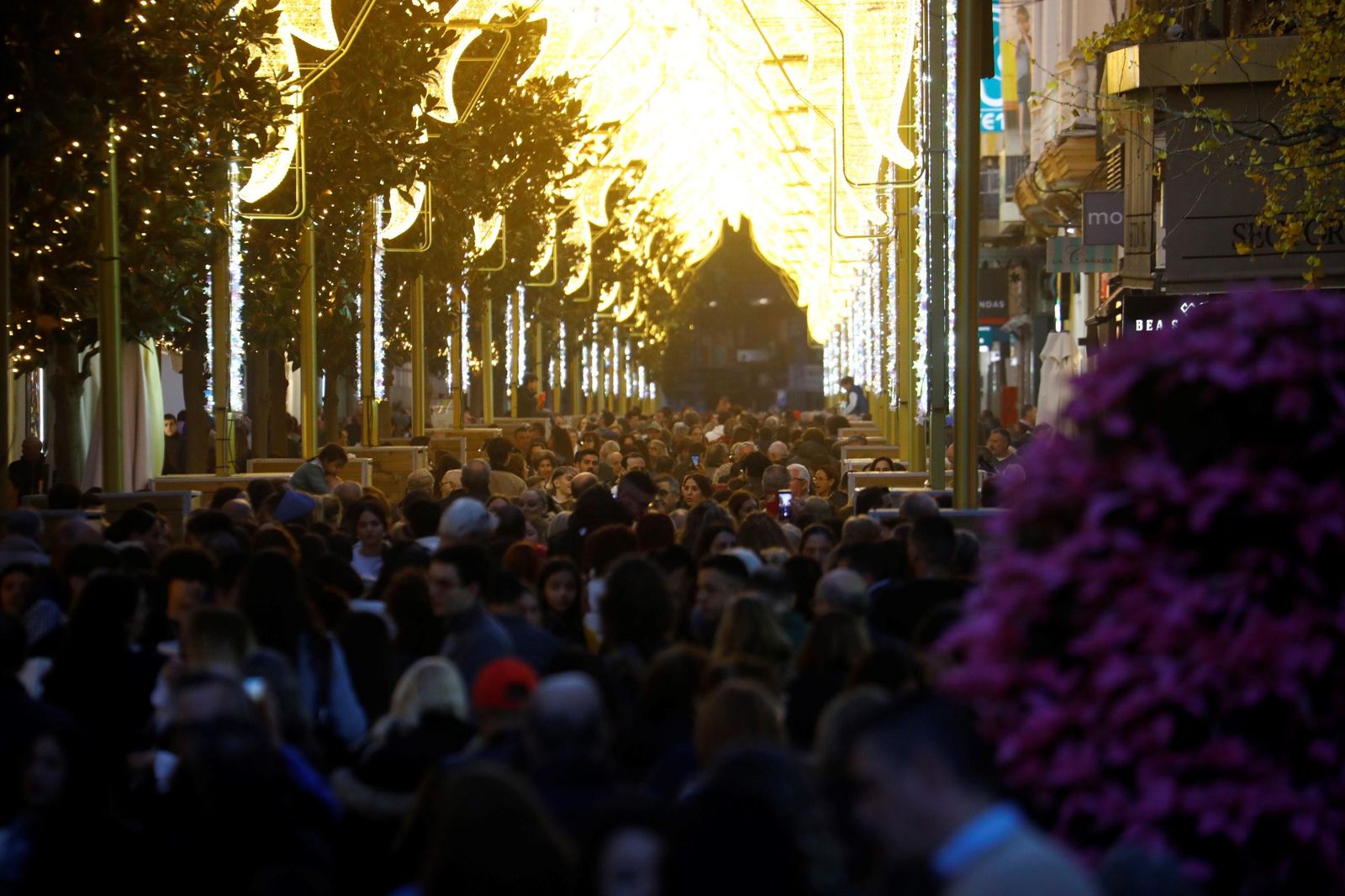 El mejor ambiente en el centro de Córdoba por Navidad, en imágenes