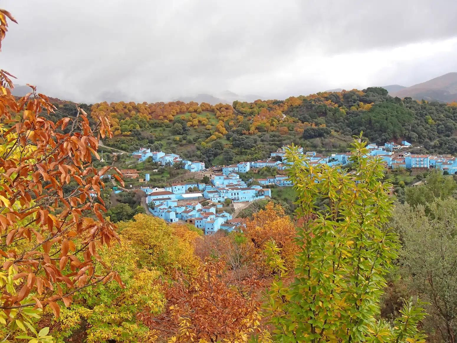 Júzcar, entre castaños que cambian de color en otoño.