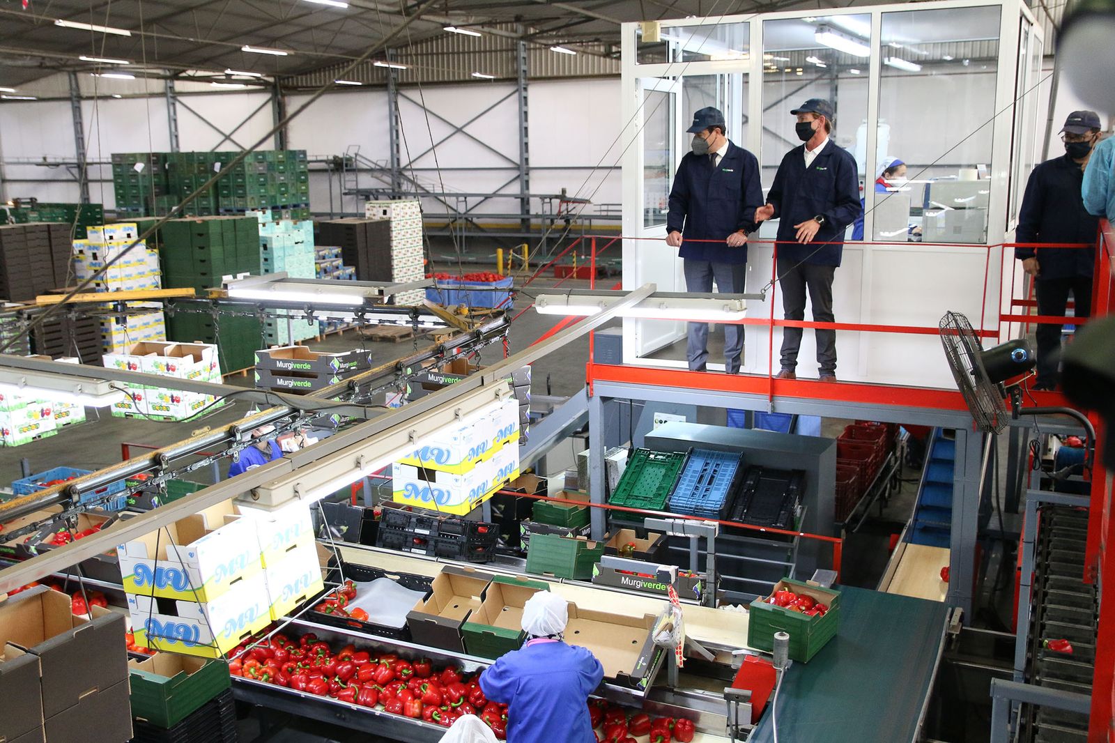Fotogalería Juanma Moreno visita la cooperativa Murgiverde