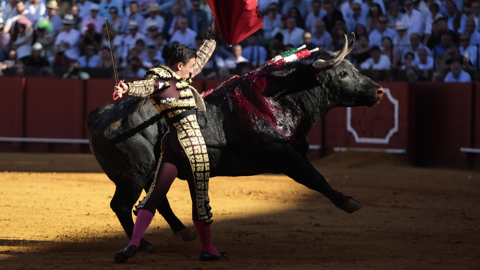 Las imágenes de la corrida de Los Miura