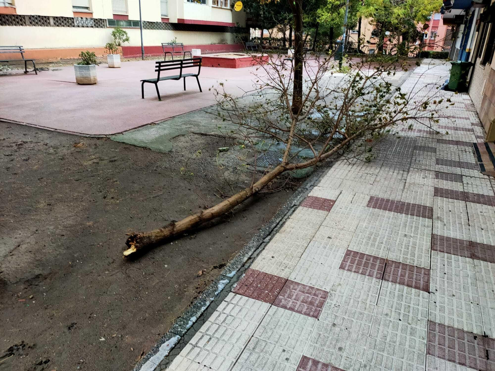El paso de la borrasca Aline por Algeciras, en imágenes