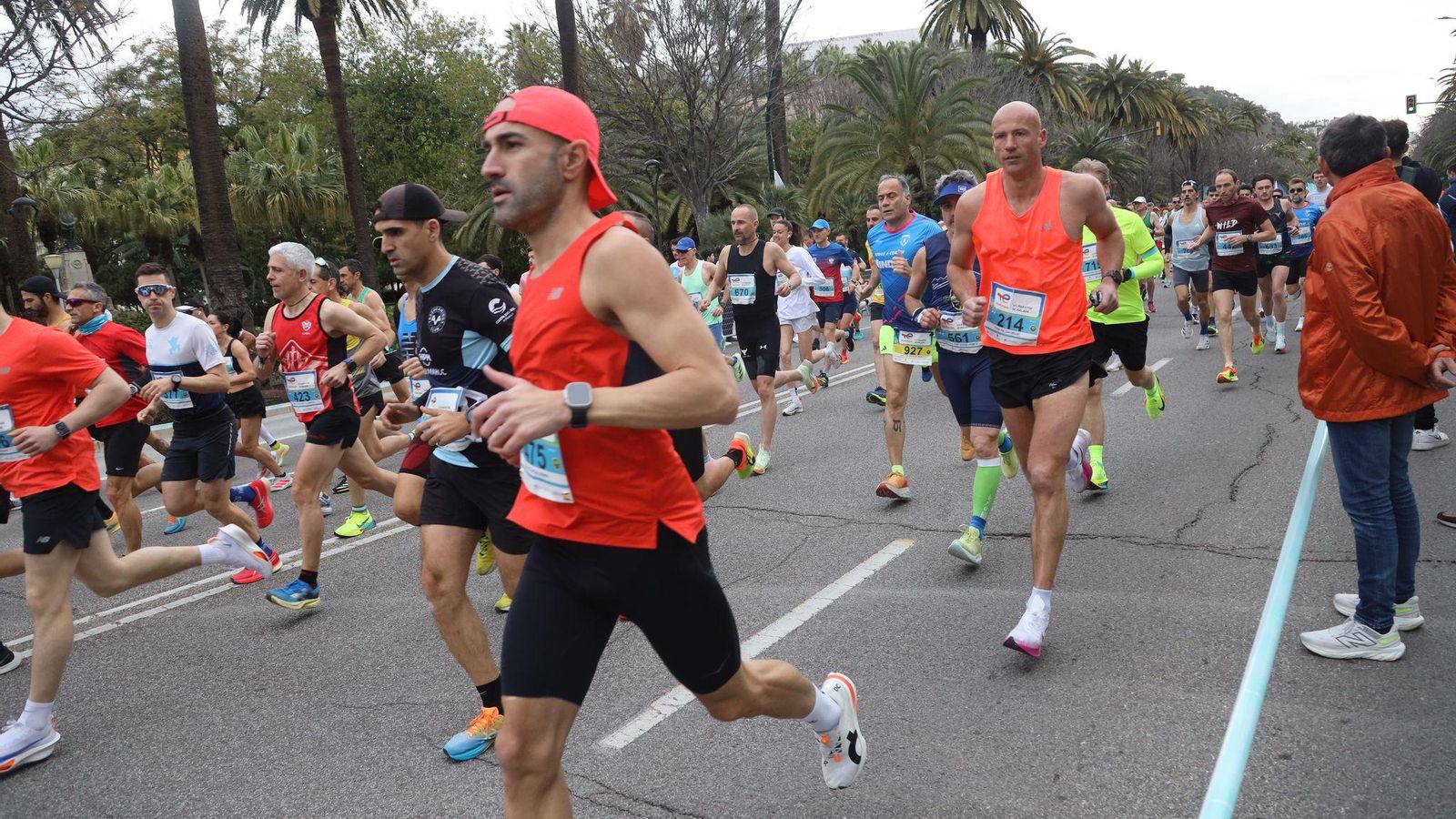 La Media Maratón de Málaga 2025, en fotos
