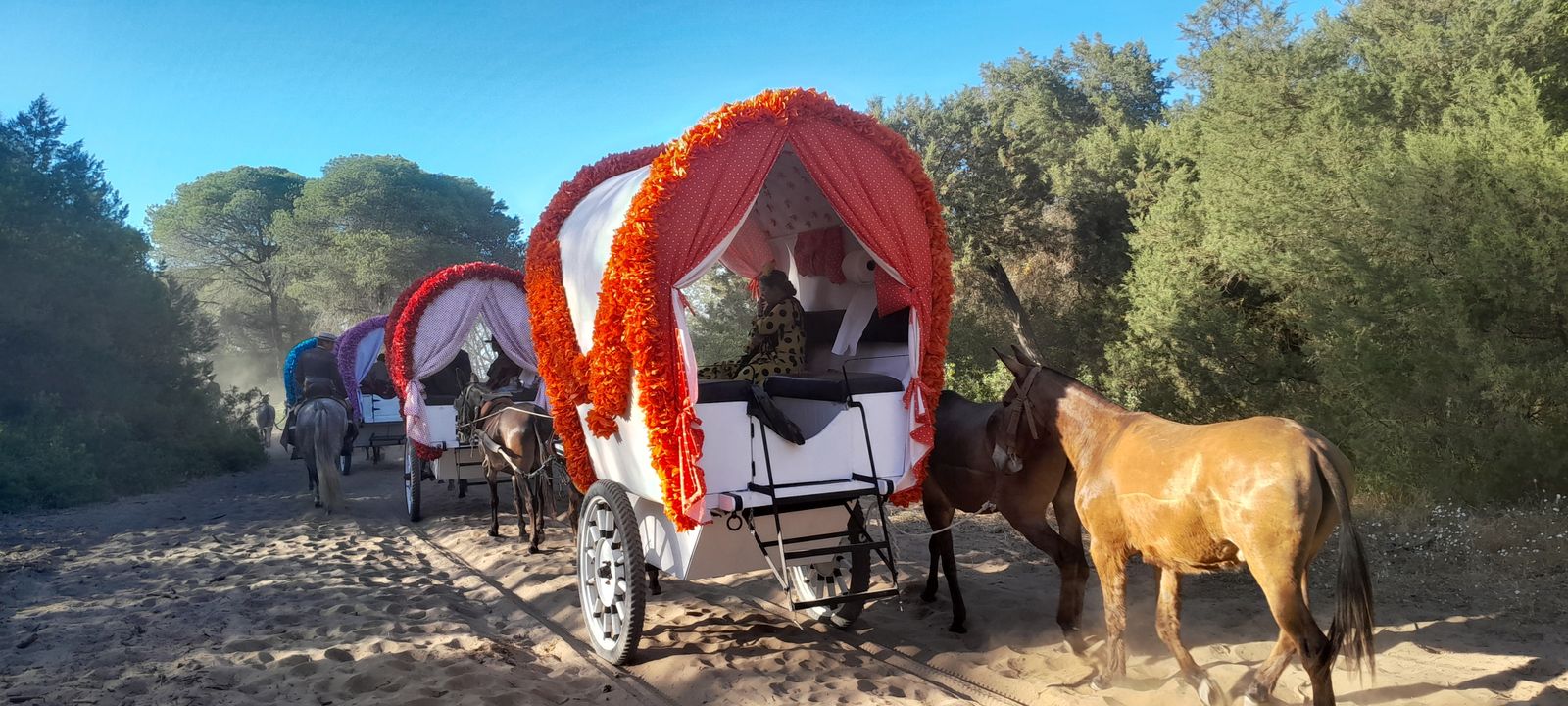 Imágenes de la Hermandad del Rocío de Jerez en el Coto