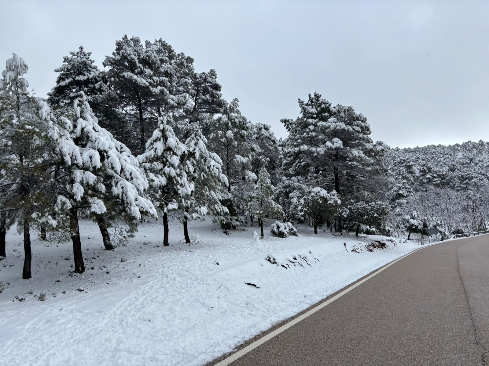 Sierra de Segura nevada.