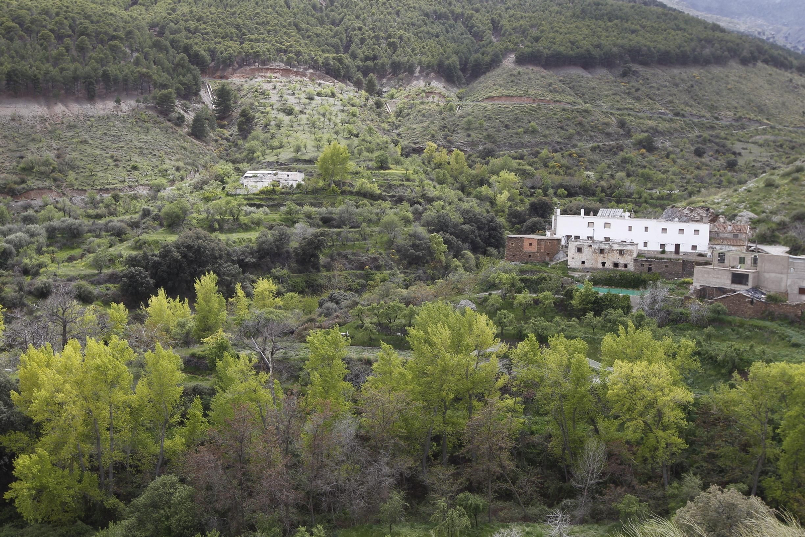 Naturaleza desconfinada. La Roza (Abrucena)