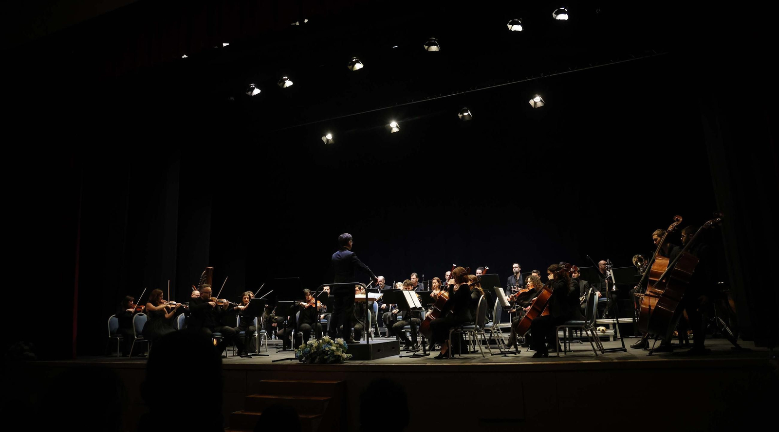 Las fotos de la Gran Gala Lírica de la Sociedad Musical Linense