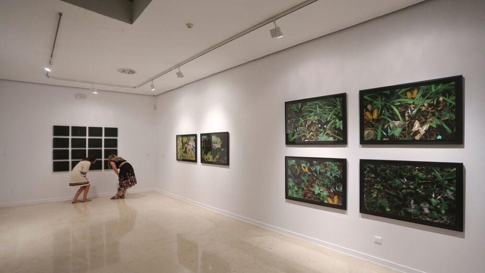 Una exposición del CAC Málaga