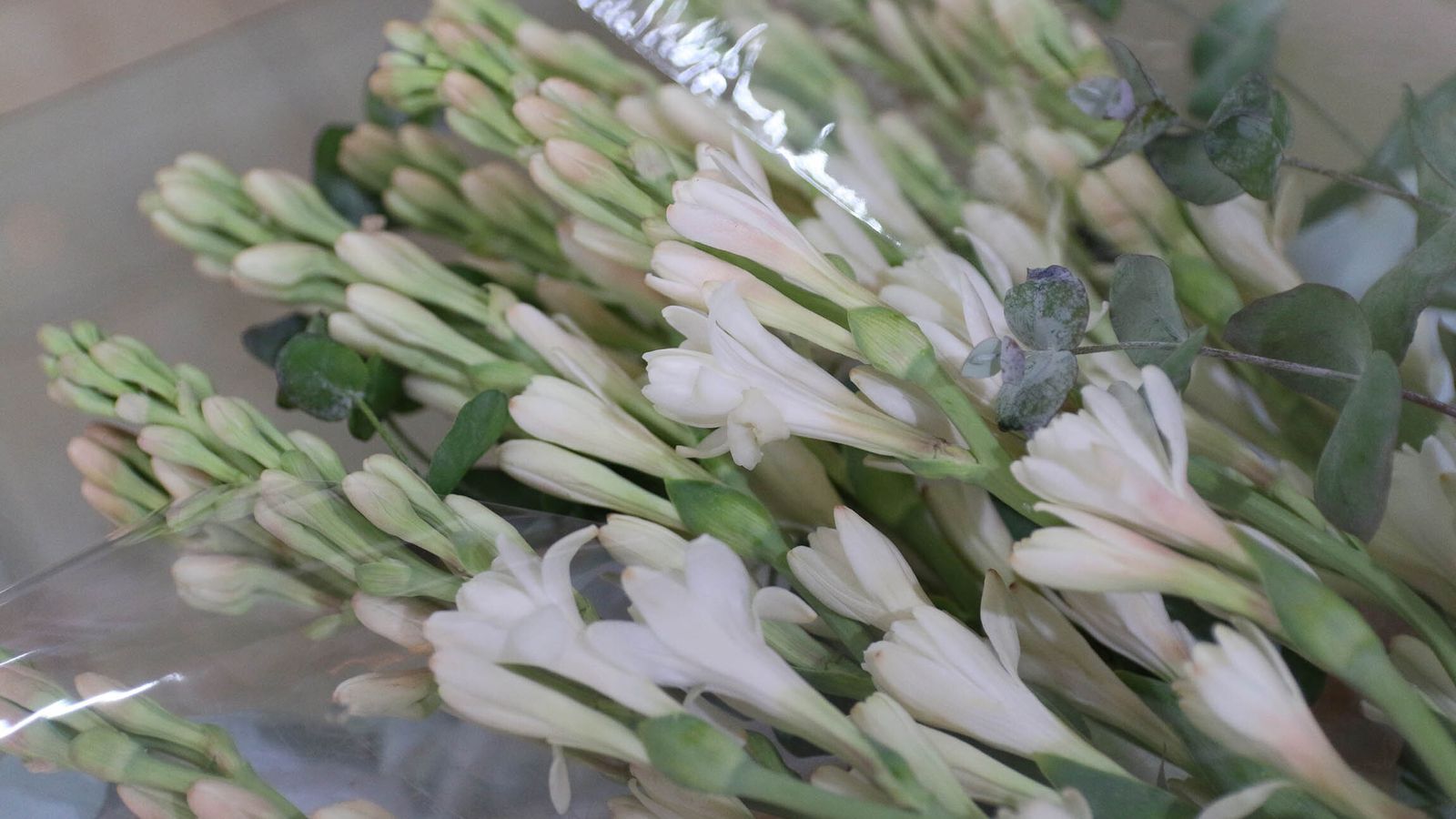 Varas de nardos preparadas en un ramo