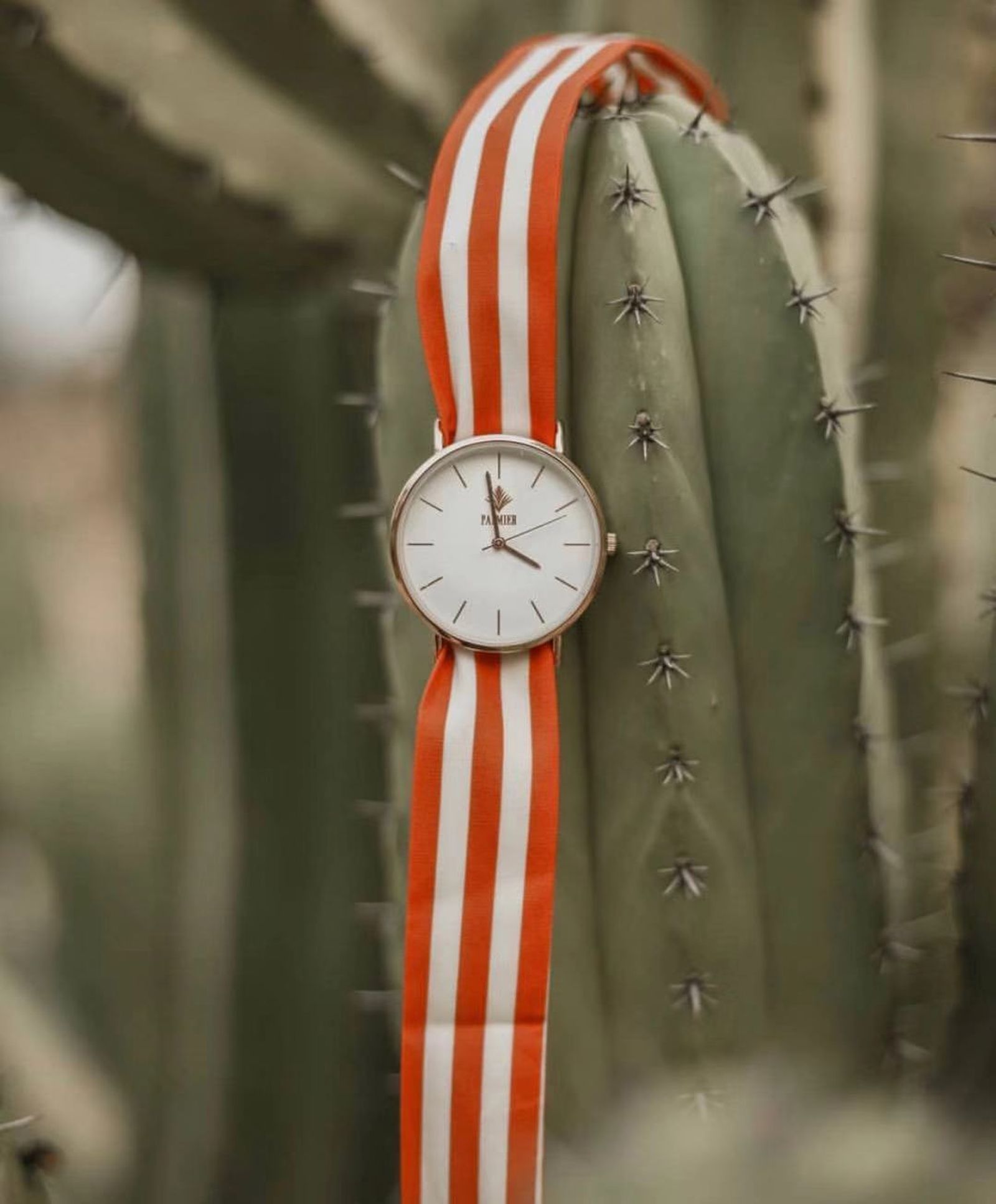 Uno de los relojes de la firma Palmier.