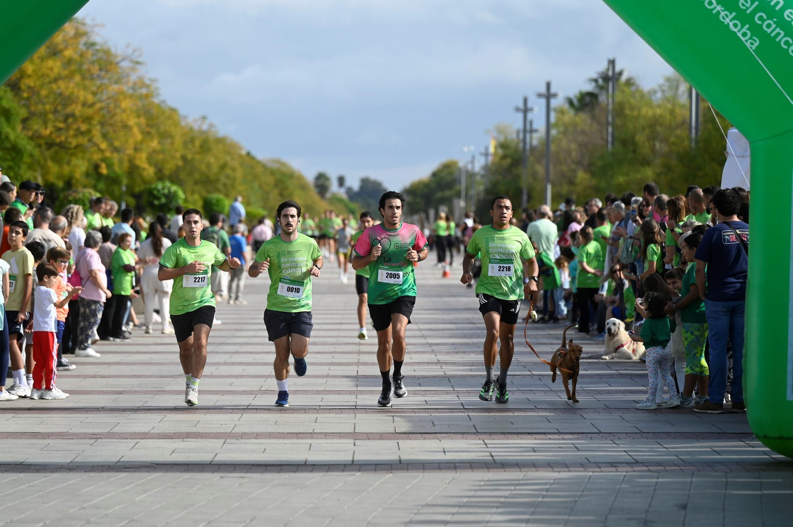 La XVIII Carrera contra el Cáncer en Córdoba, en imágenes