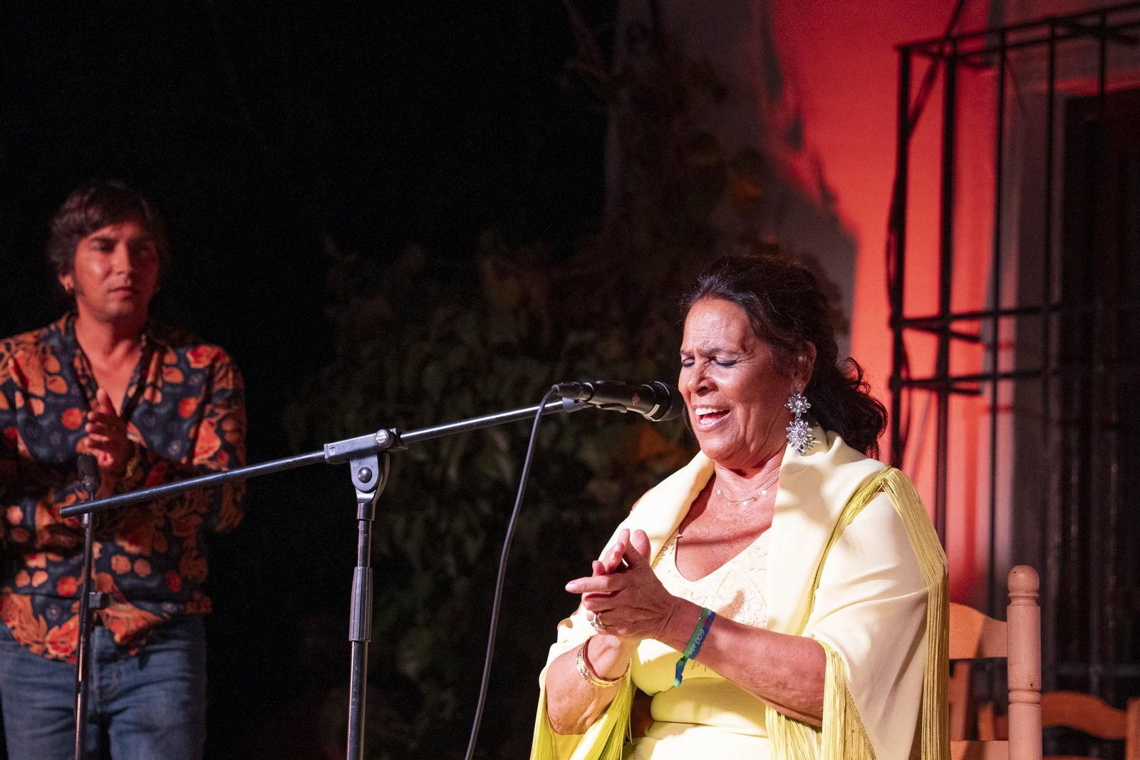 Las mejores imágenes del Festival de Flamenco en Fondón