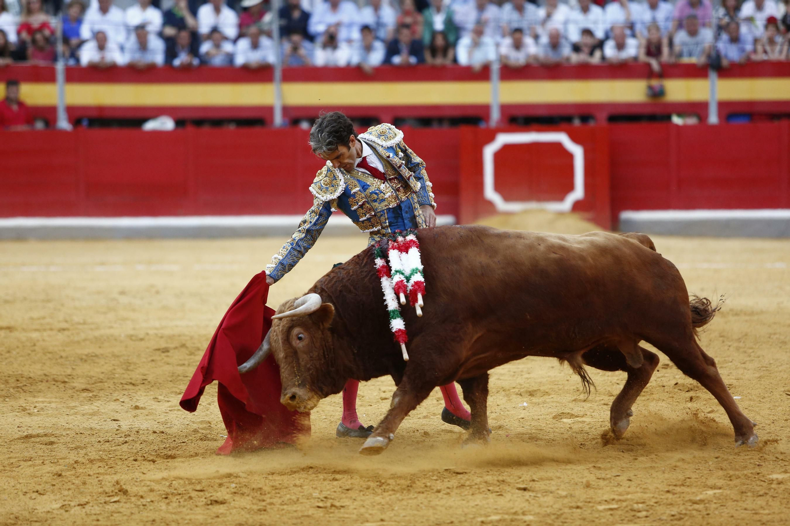Las mejores imágenes del regreso a los ruedos de José Tomas en Granada Las mejores imágenes del regreso a los ruedos de José Tomas en Granada