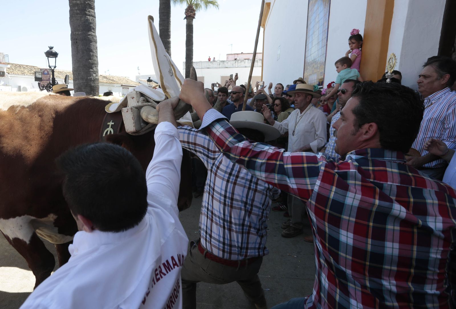 Paso de las hermandades por Villamanrique