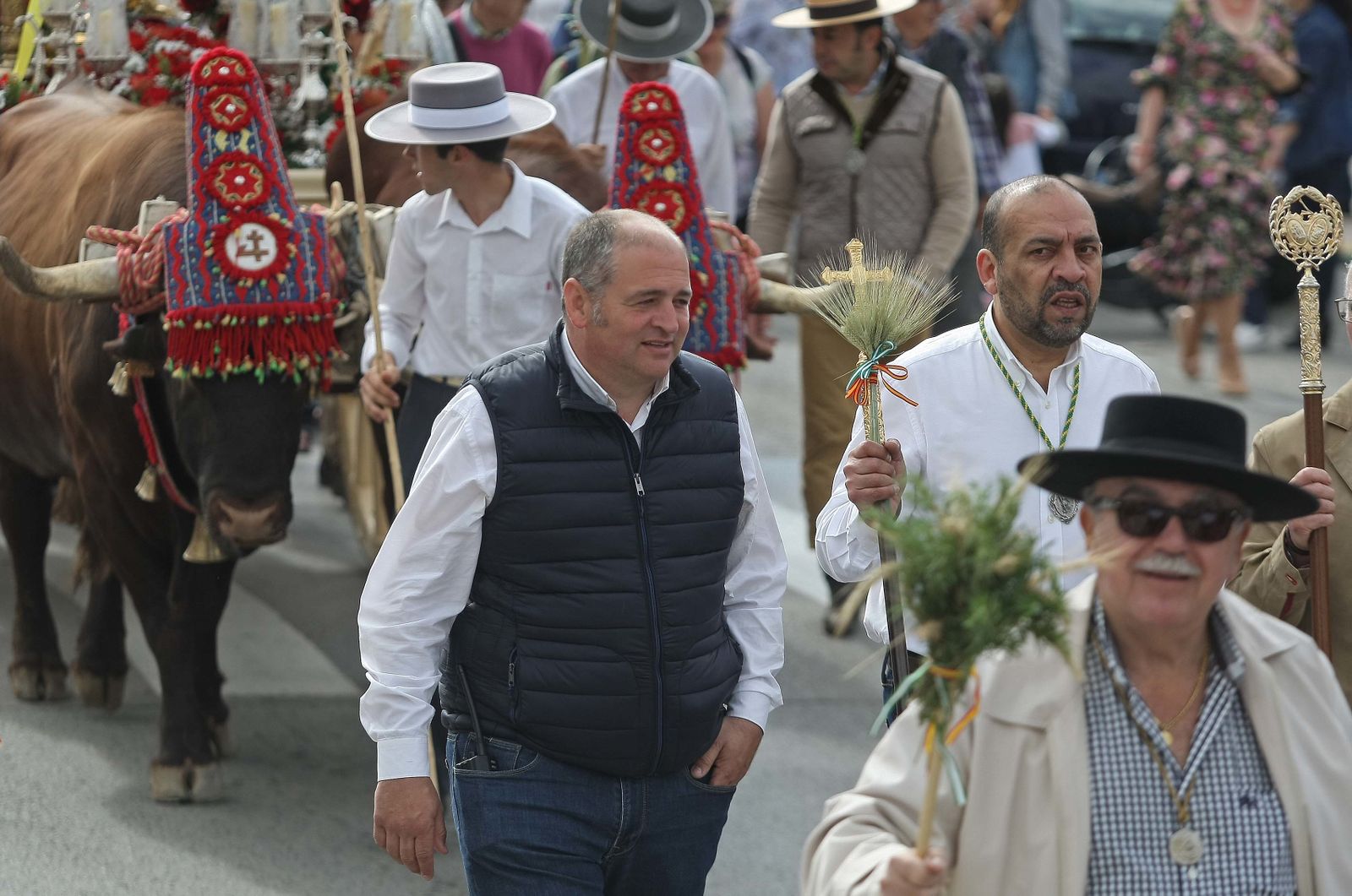 La Romería de Los Barrios, en imágenes