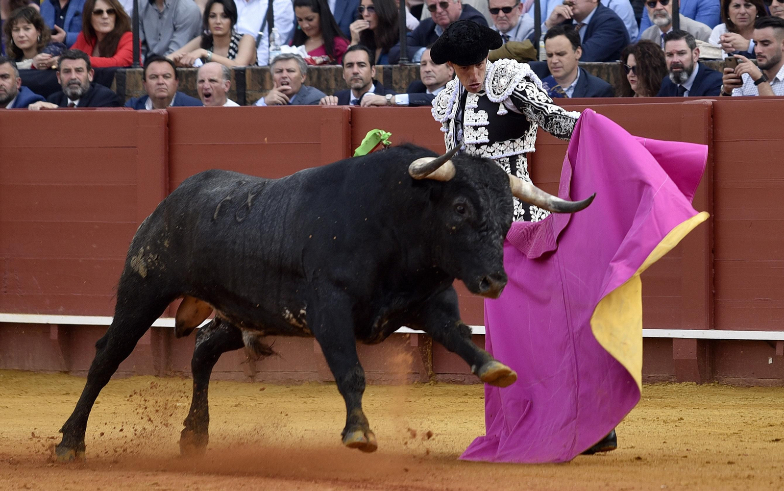 Las imágenes de la 14ª de abono de la Maestranza