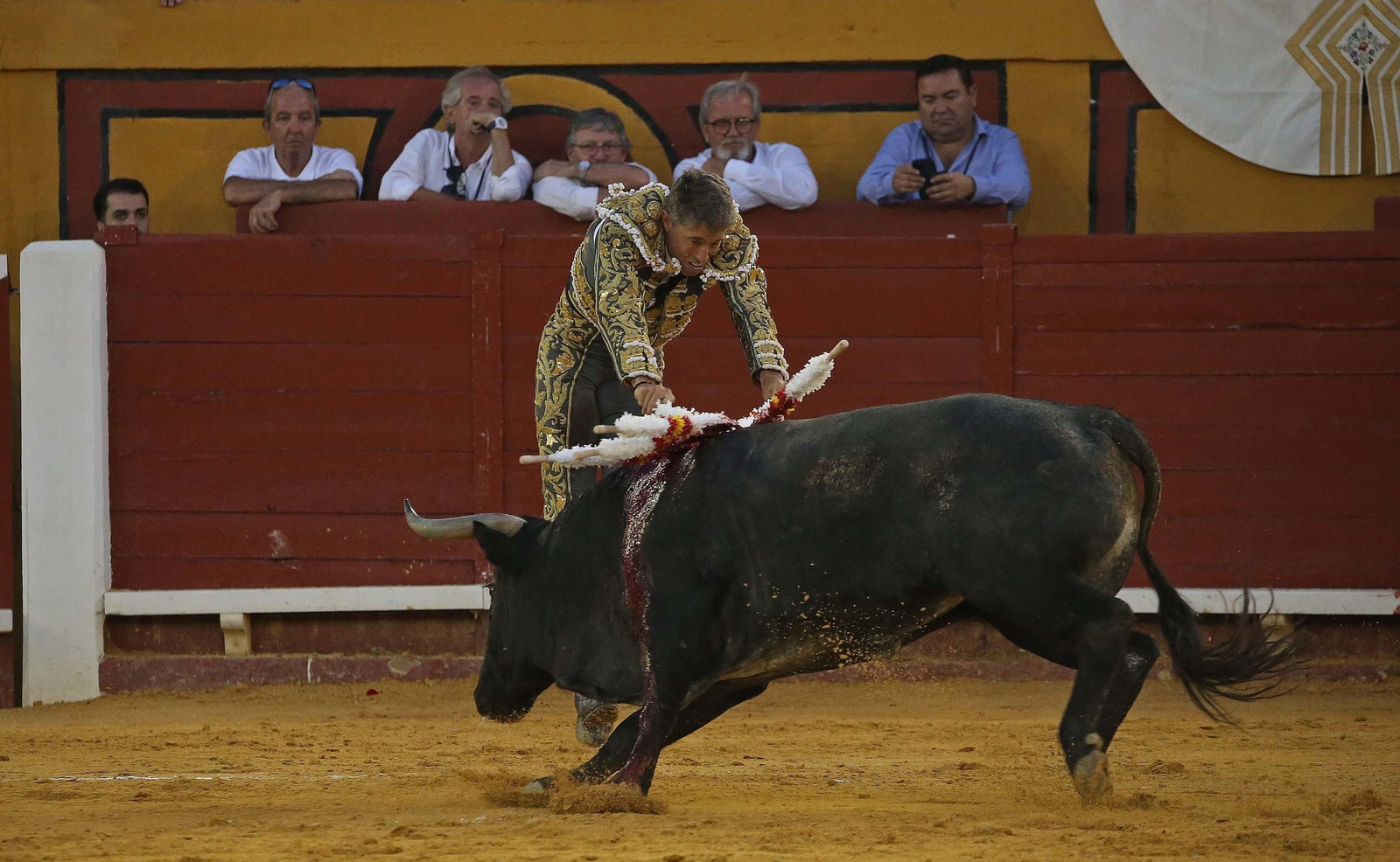 Fotos de la corrida del sábado de la Feria Taurina de Algeciras 2023: Antonio Ferrera, Manuel Escribano y Miguel Ángel Pacheco