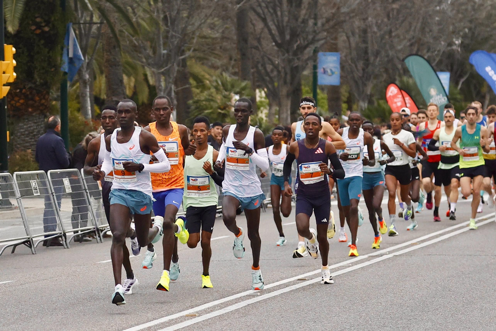 La Media Maratón de Málaga 2025, en fotos