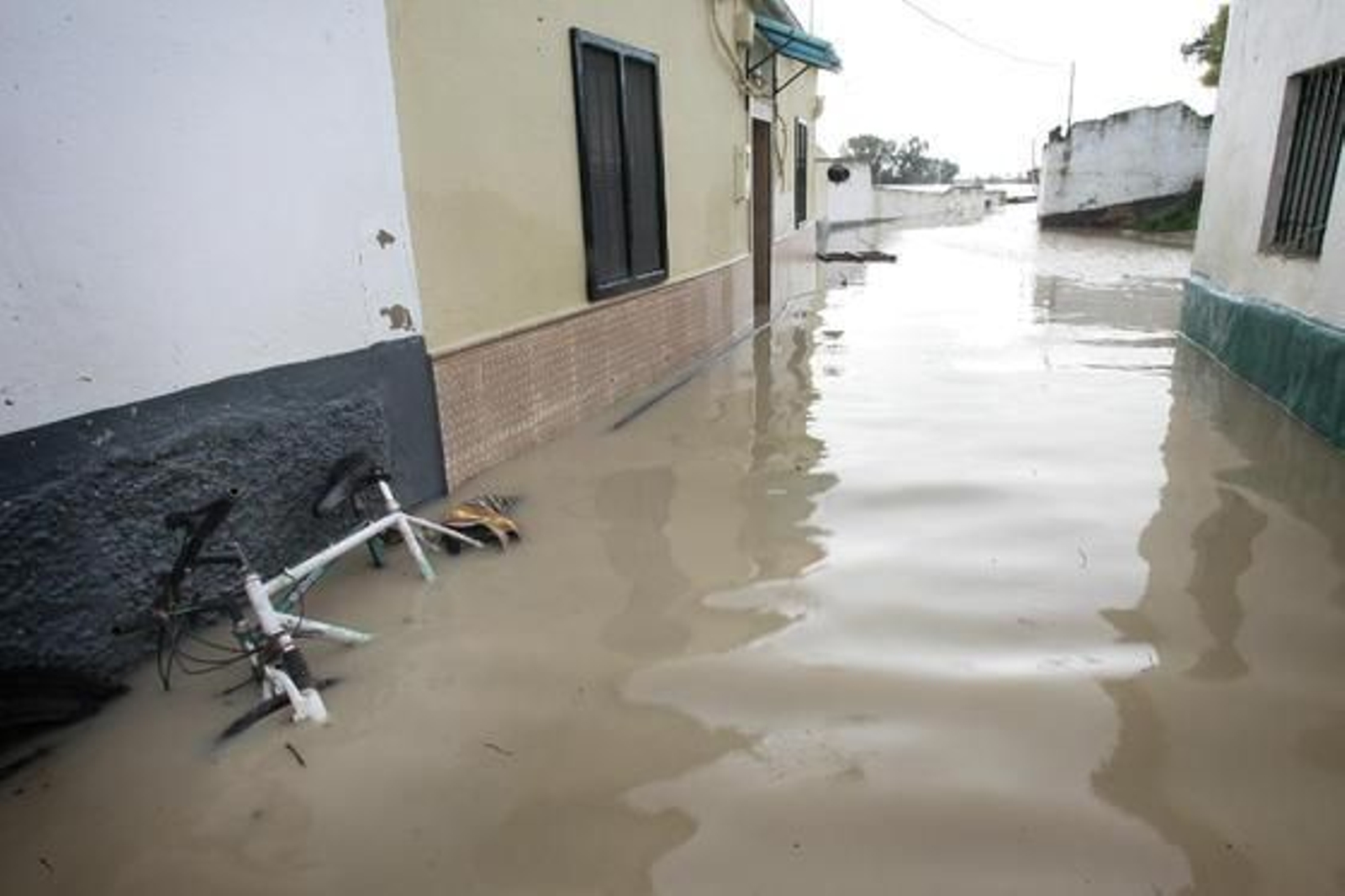 El Río Guadalquivir se desborda a su paso por Lora del Río./ J.C Muñoz