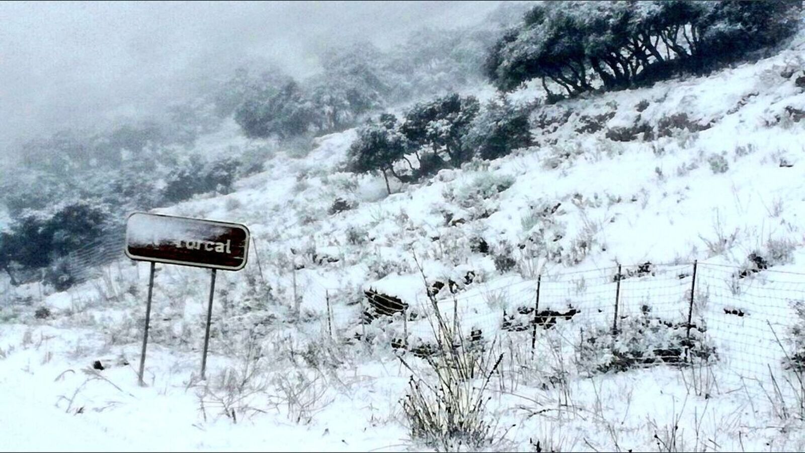 La nevada en el interior de Málaga, en imágenes
