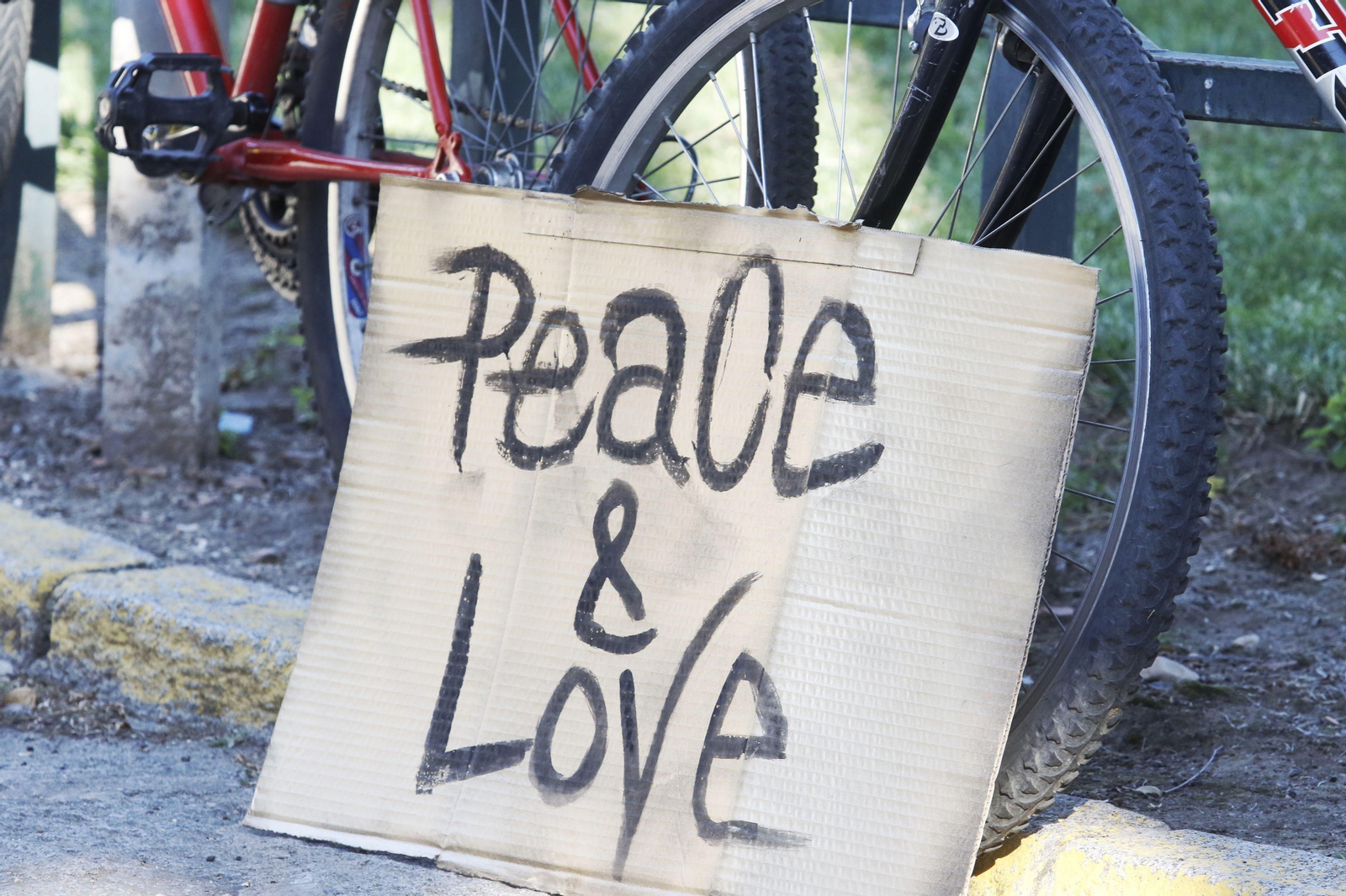 Estas son las fotos de la marcha pacífica por la dignidad humana