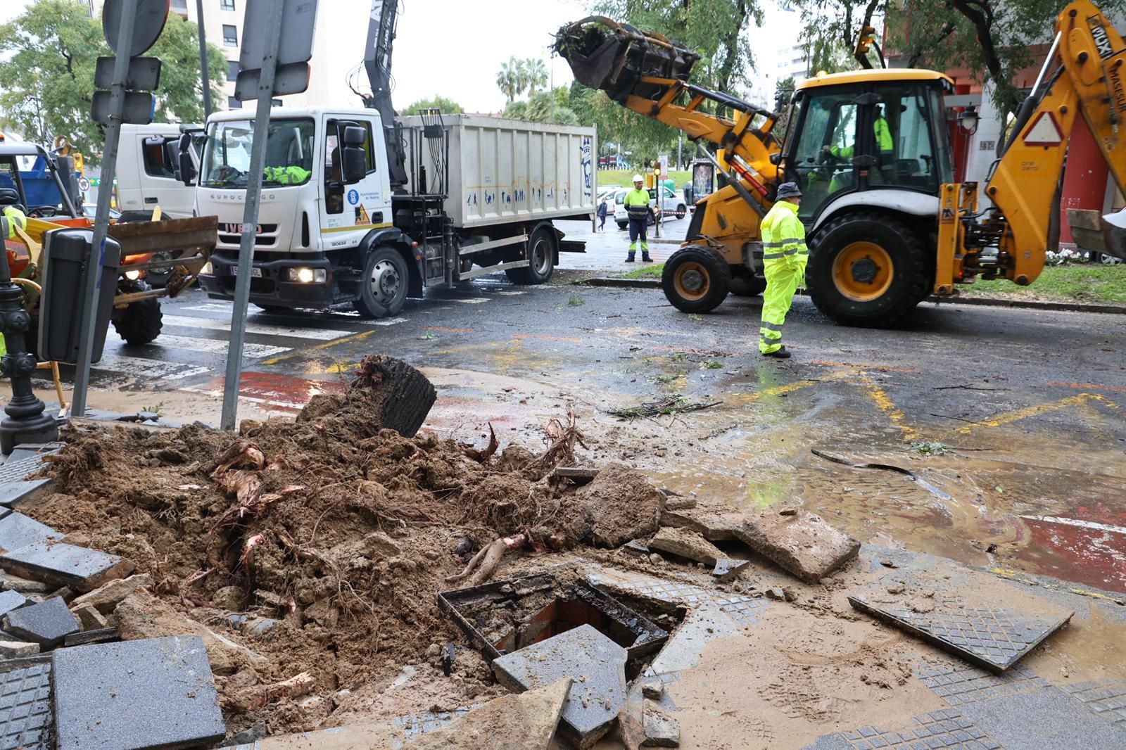 Árbol caído en la calle San Sebastián y que provocó la rotura de una tubería.