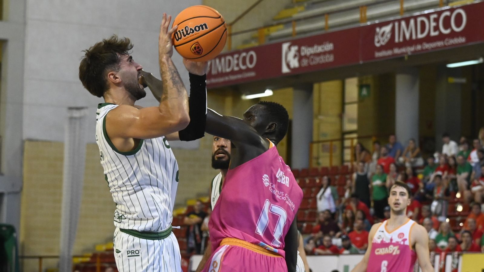 Fernando Bello trata de levantar el balón en la visita del Caja 87 al Coto Córdoba en la Copa de España.