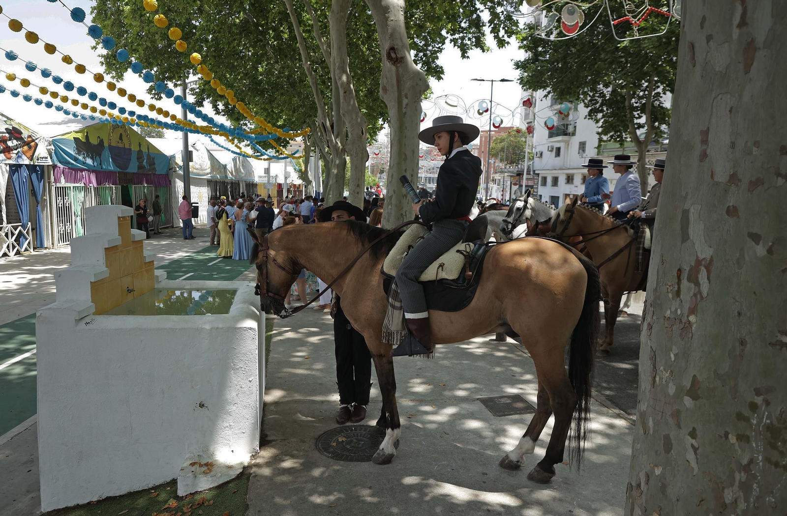Fotos del tradicional concurso 'Paseo a Caballo' en la Feria Real de Algeciras 2025 Fotos del tradicional concurso 'Paseo a Caballo' en la Feria Real de Algeciras 2025
