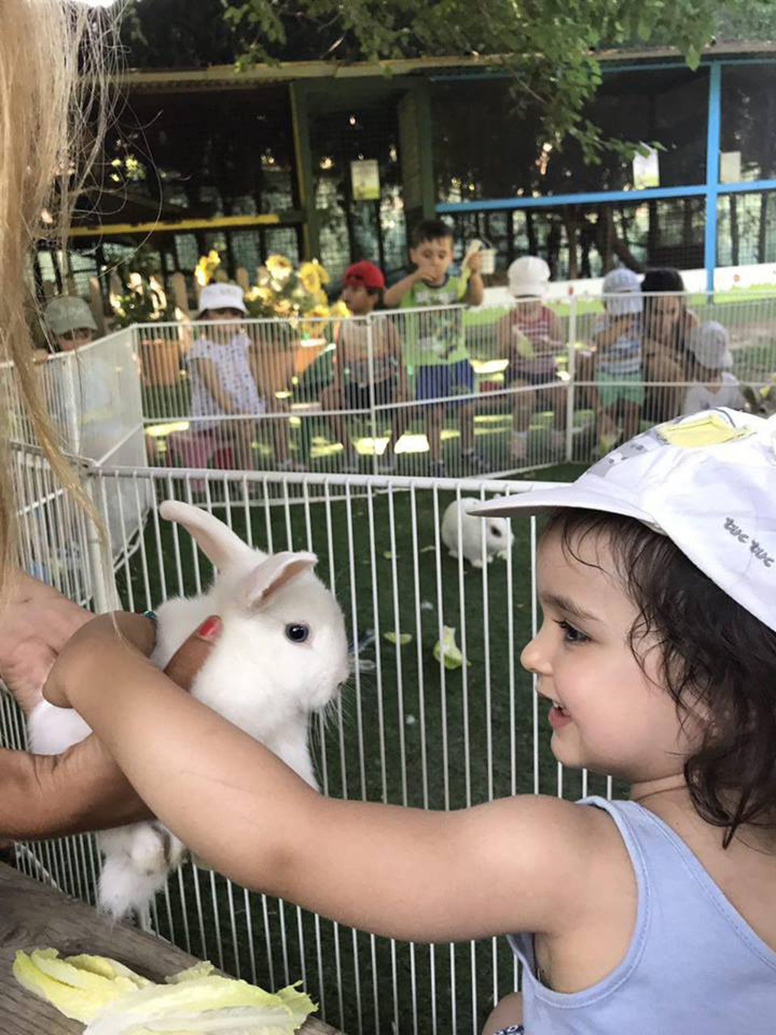 Una de las alumnas del IML La Zubia acariciando un conejo en el mascotario de Granada.