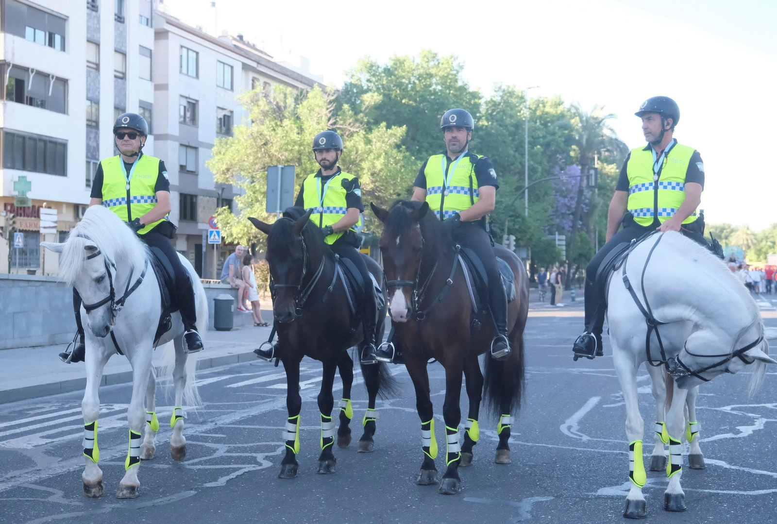 La romería de la Virgen de Linares de Córdoba, en imágenes