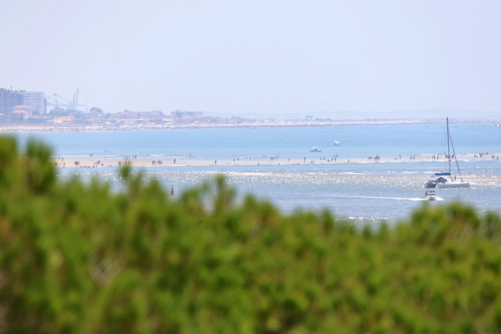 Las espectaculares vistas de la Flecha del Rompido desde el mirador de Nuevo Portil