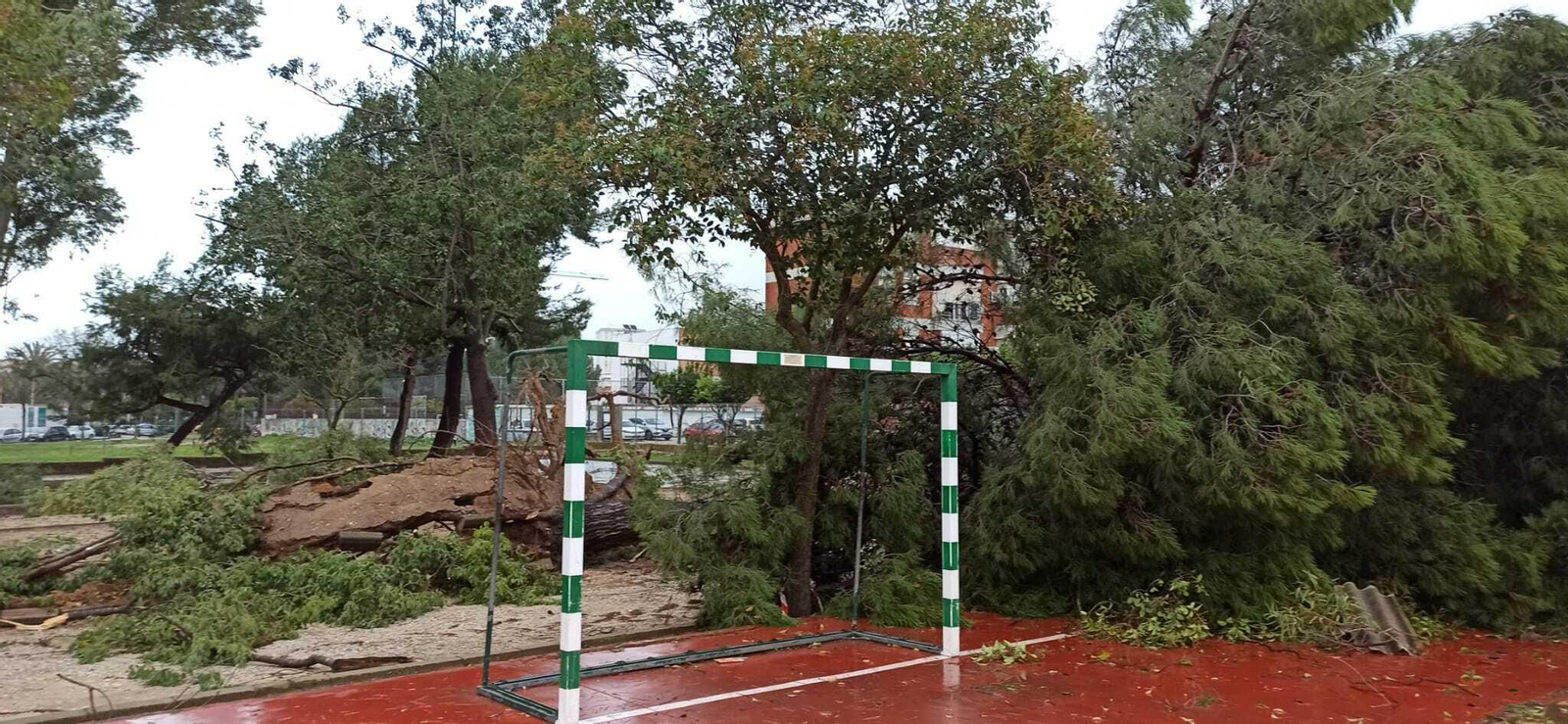 Imagen de cómo dejó el tornado el colegio La Unión. Imagen de cómo dejó el tornado el colegio La Unión.